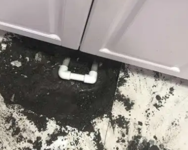 沾益查漏水哪家好